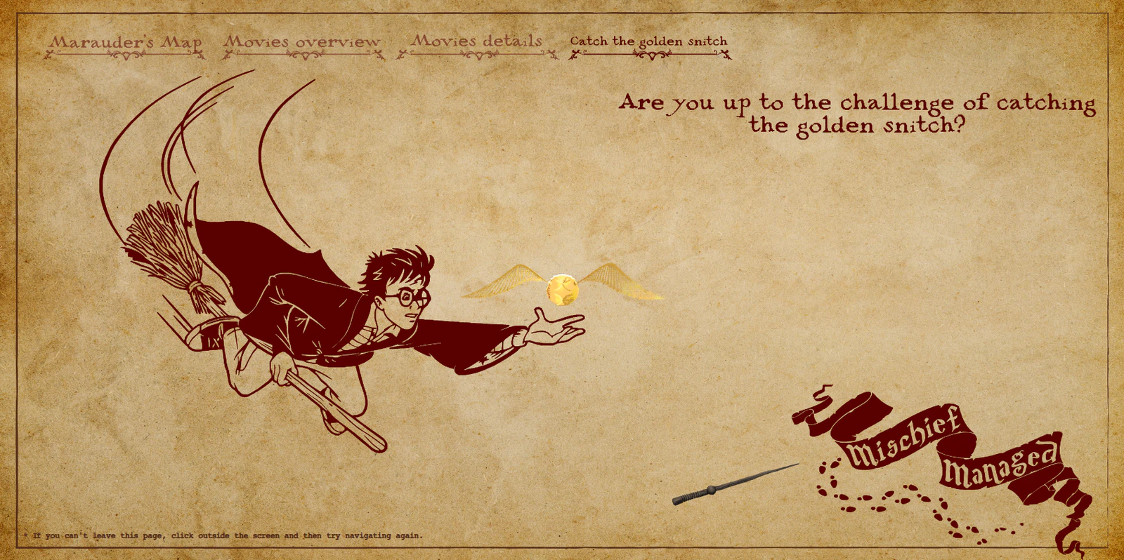 HARRY POTTER
